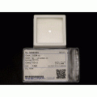 新着【ダイヤモンドルース】ダイヤモンド0.284ｃｔ E VS-2 FAIR NONE 21780-0