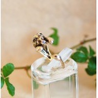 ☆甘えん坊アニマル☆ 『ライオン』