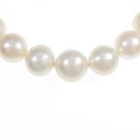 シルバークラスプ シロチョウパールネックレス