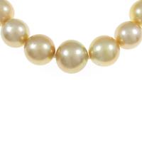 シルバークラスプ シロチョウパールネックレス