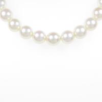 シルバークラスプ アコヤパールネックレス