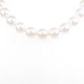 シルバークラスプ アコヤパールネックレス