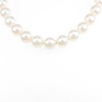 シルバークラスプ アコヤパールネックレス