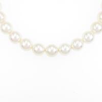 シルバークラスプ アコヤパールネックレス