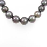 タサキ 黒蝶パールネックレス