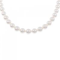 シルバークラスプ アコヤパール ネックレス 8?8.5mm