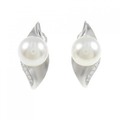 タサキ 白蝶パール イヤリング 11.3mm