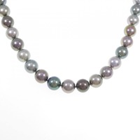 ミキモト 黒蝶パール ネックレス