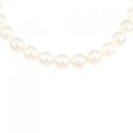 シルバークラスプ アコヤパール ネックレス 7-7.5mm