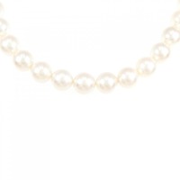 シルバークラスプ アコヤパール ネックレス 7-7.5mm