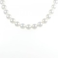 【新品】シルバークラスプ アコヤパール ネックレス 8-8.5mm