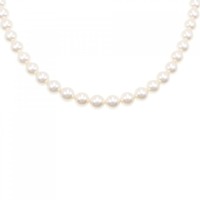 シルバークラスプ アコヤパール ネックレス 7-7.5mm