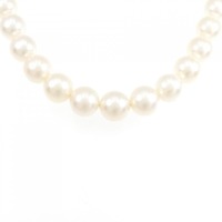 シルバークラスプ アコヤパール ネックレス 6-8mm
