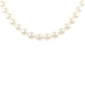シルバークラスプ アコヤパール ネックレス 7.5-8mm