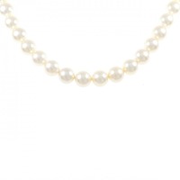 シルバークラスプ アコヤパール ネックレス 7.5-8mm