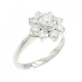 PT ダイヤモンド リング 0.507CT E SI1 Good