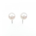 K14WG アコヤパール イヤリング 7.5mm