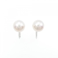 K14WG アコヤパール イヤリング 7.5mm