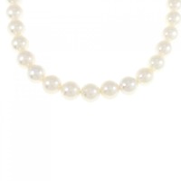 シルバークラスプ アコヤパール ネックレス 7-7.5mm