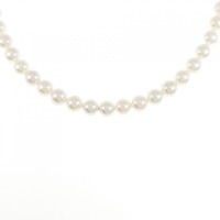 シルバークラスプ アコヤパール ネックレス 5.5-6mm