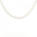 シルバークラスプ アコヤパール ネックレス 6.5-7mm