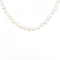 シルバークラスプ アコヤパール ネックレス 6.5-7mm