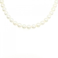 シルバークラスプ アコヤパール ネックレス 7.5-8mm
