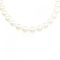 シルバークラスプ アコヤパール ネックレス 8-8.5mm