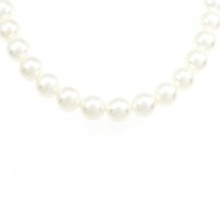 シルバークラスプ アコヤパール ネックレス 8-8.5mm
