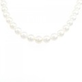 シルバークラスプ 淡水パール ネックレス 5.5-6mm