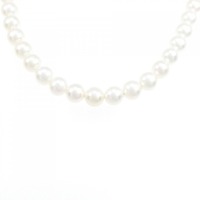 シルバークラスプ 淡水パール ネックレス 5.5-6mm