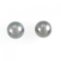 PT 黒蝶パール ピアス 12.6mm