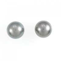 PT 黒蝶パール ピアス 12.6mm