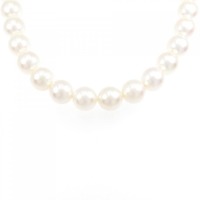 シルバークラスプ アコヤパール ネックレス 9-9.5mm