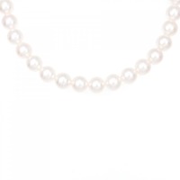 シルバークラスプ アコヤパール ネックレス 7-7.5mm