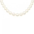 シルバークラスプ アコヤパール ネックレス 9-9.5mm