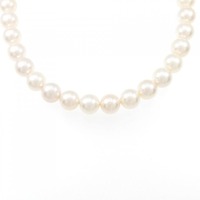 シルバークラスプ アコヤパール ネックレス 7-7.5mm