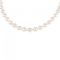 シルバークラスプ アコヤパール ネックレス 6.5-7mm