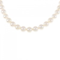 シルバークラスプ アコヤパール ネックレス 7-7.5mm