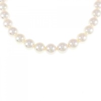 シルバークラスプ アコヤパール ネックレス 8.5-9.0mm
