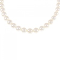 シルバークラスプ アコヤパール ネックレス 7-7.5mm