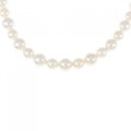 シルバークラスプ アコヤパール ネックレス 6.5-7.5mm