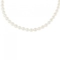シルバークラスプ アコヤパール ネックレス 5-5.5mm