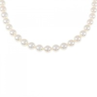 シルバークラスプ アコヤパール ネックレス 6-6.5mm