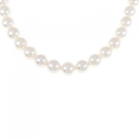 シルバークラスプ アコヤパール ネックレス 7.5-8mm