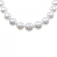 【新品】シルバークラスプ 白蝶パール ネックレス 13.2-17.1mm