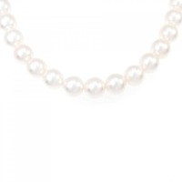 シルバークラスプ アコヤパール ネックレス 9-9.5mm