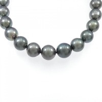 【新品】シルバー/PT 黒蝶パール ネックレス 11.8-14mm ピアス セット