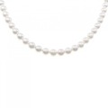 シルバークラスプ アコヤパール ネックレス 6-6.5mm