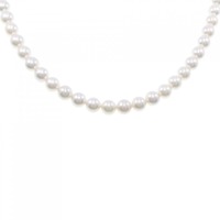 シルバークラスプ アコヤパール ネックレス 6-6.5mm